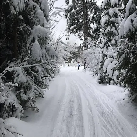 Semesteranläggning (resort) Medlicky 5*