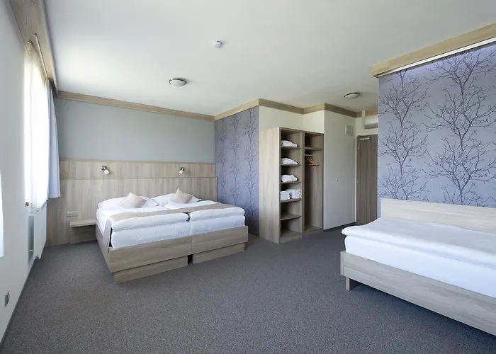 Курортный комплекс Wellness Medlicky 5*