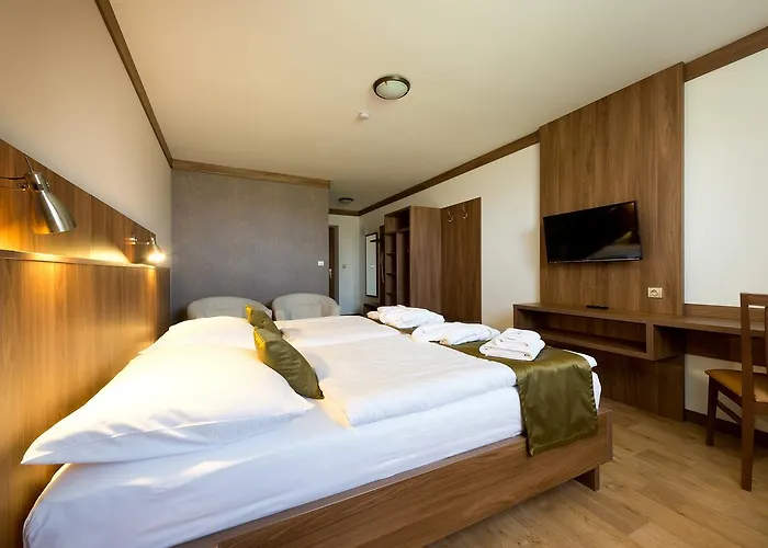 Wellness Medlicky 5* Batelov